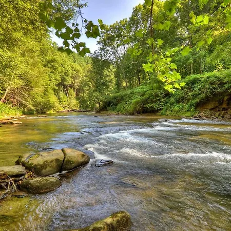 Creektopia